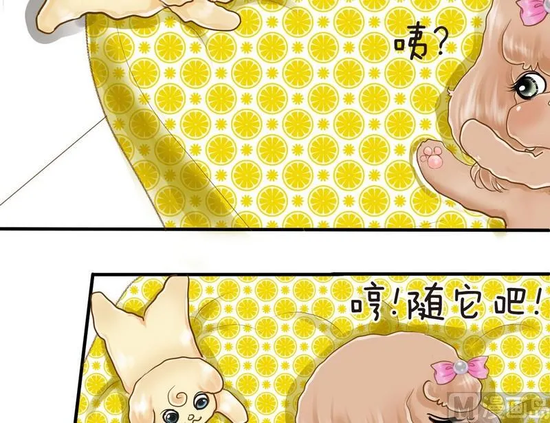 第9话 西米的花花被 第11页