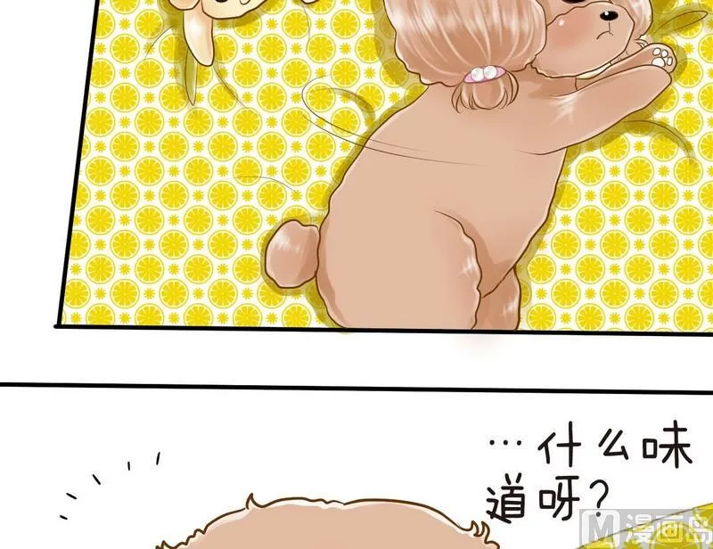 第9话 西米的花花被 第12页