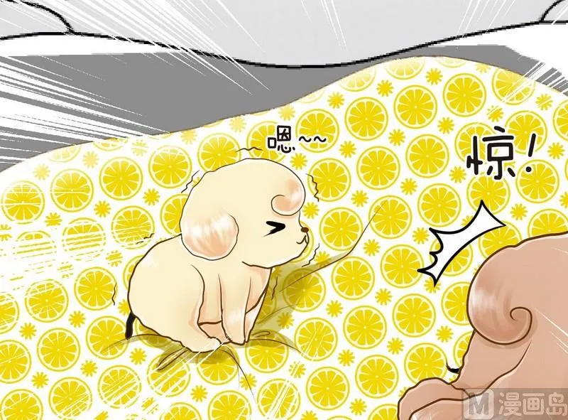 第9话 西米的花花被 第14页