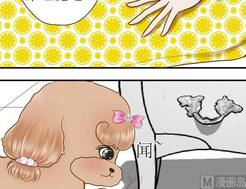 第10话 西米的花花被2 第3页