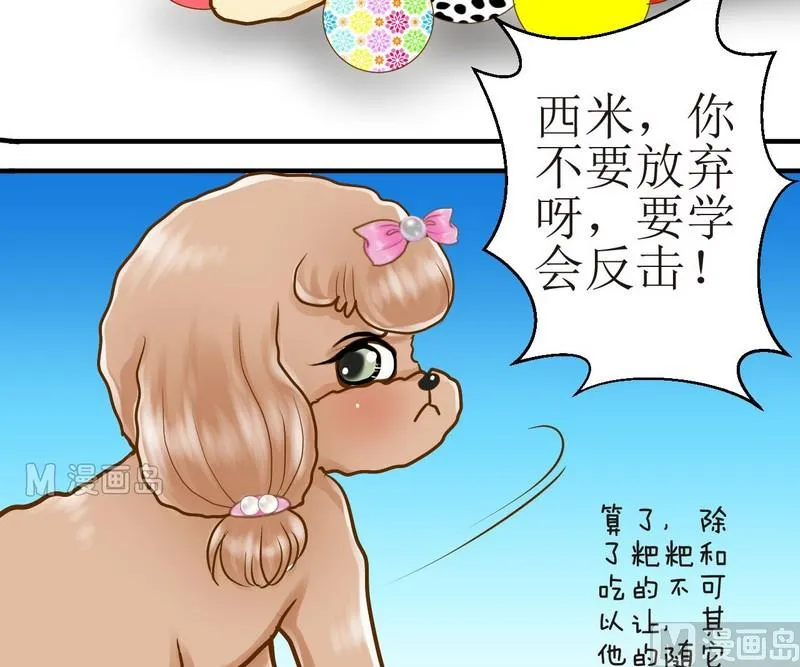 第13话 粑粑的训练课（上） 第11页