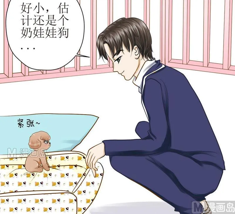 第16话 番外 初见西米（下） 第3页
