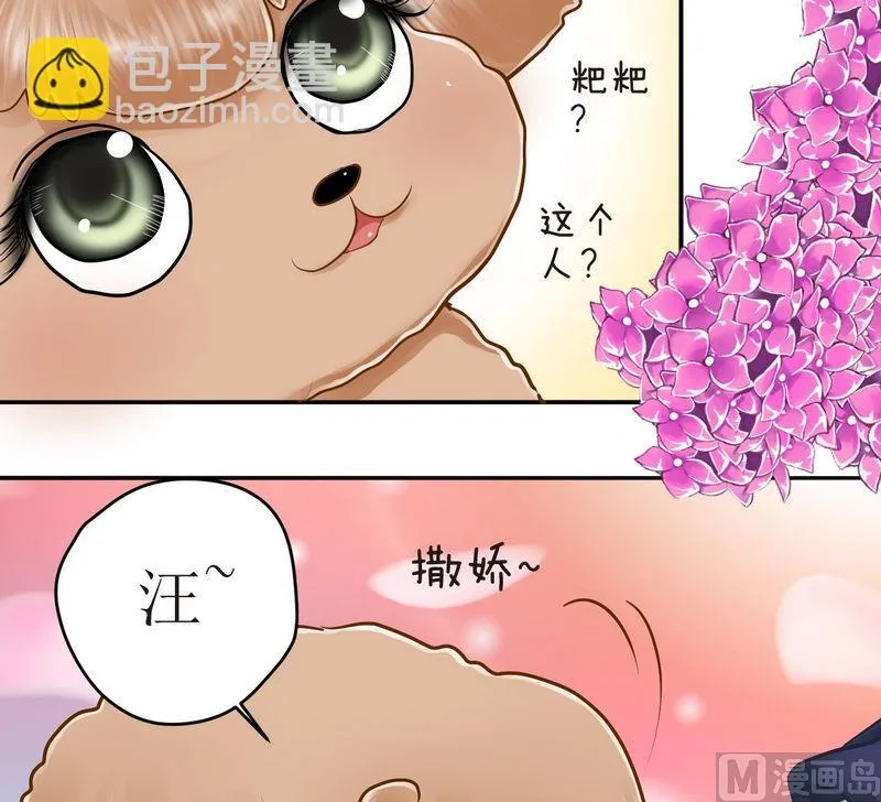 第16话 番外 初见西米（下） 第7页