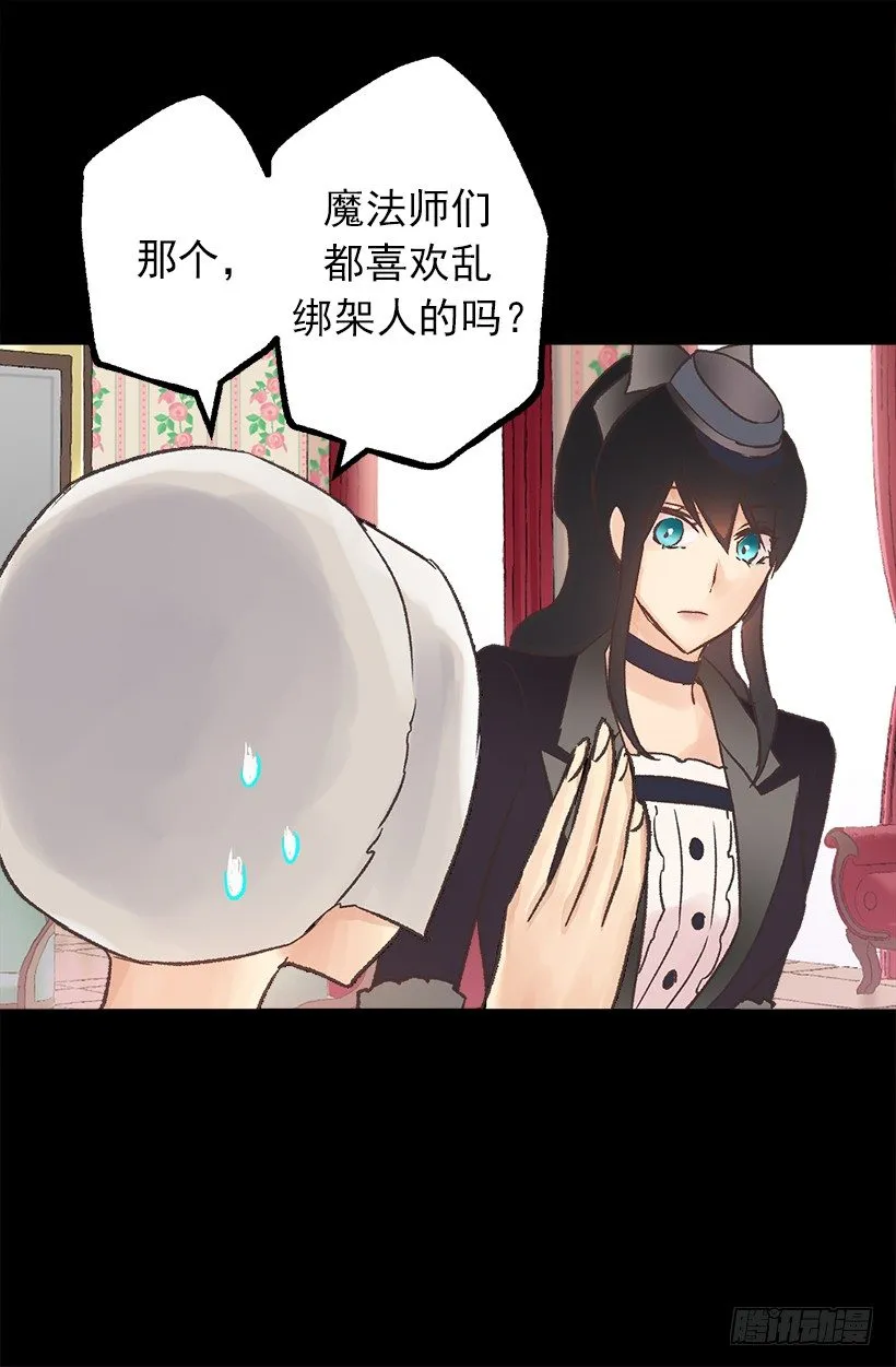 魔法师 第29页