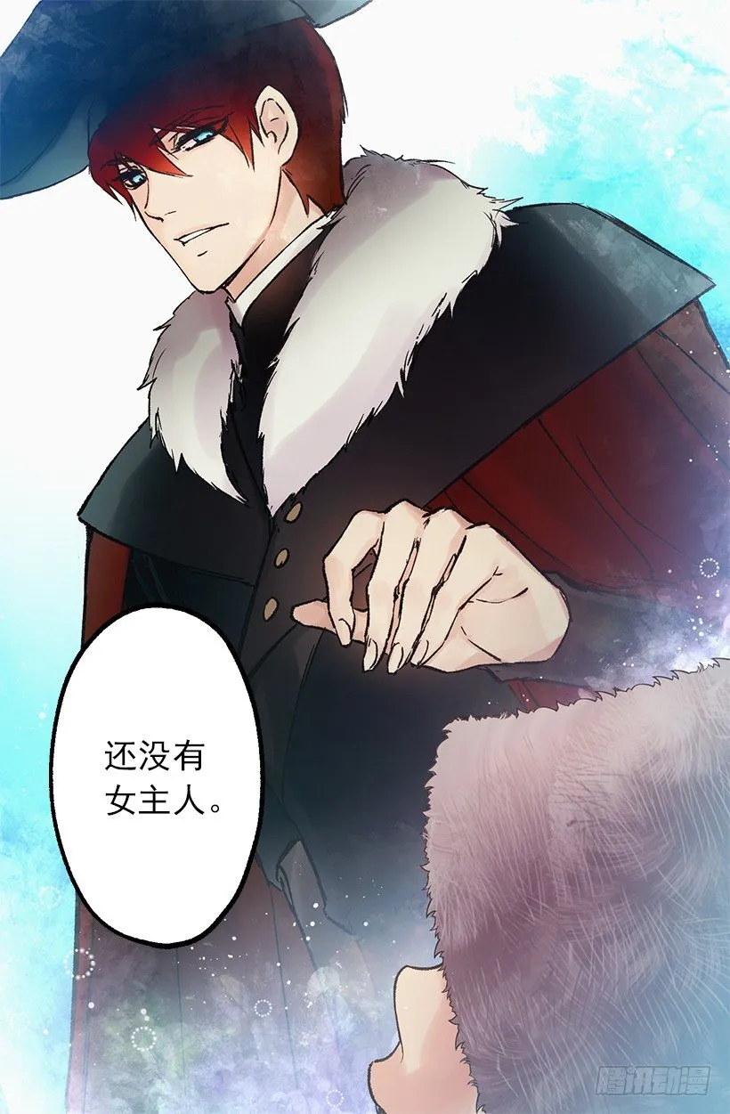 这个城堡还没有女主人 第28页