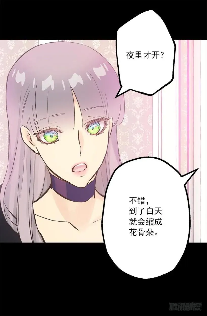 197.夜里才开的花 第11页