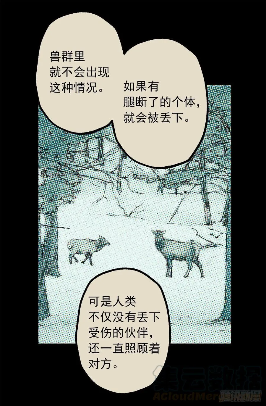 348.帮助弱者是人类的天性 第13页