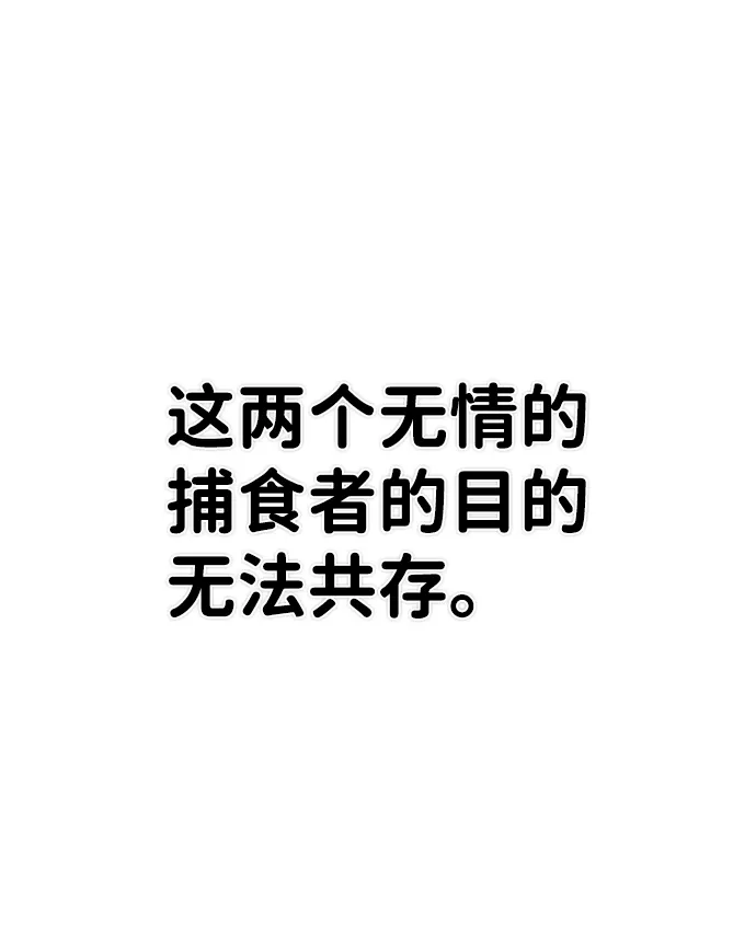 [第78话] 贝基斯（2） 第41页