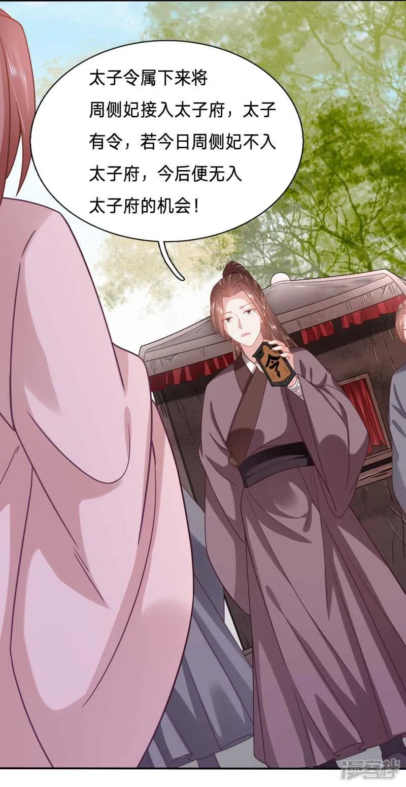 不过是高级点的妾 第19页