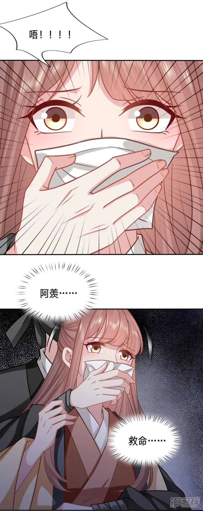 太子妃叒被抓了 第17页