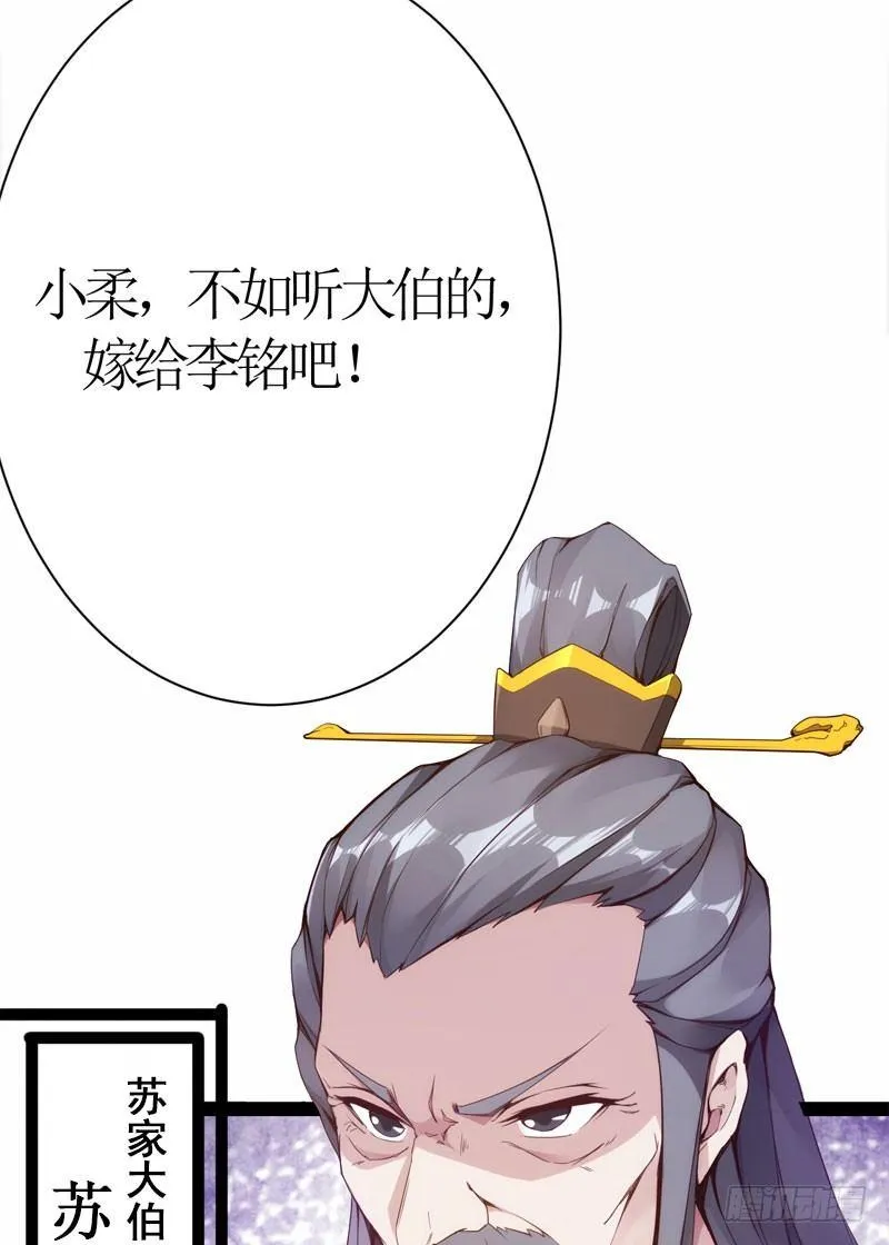 赘婿登门！ 第13页