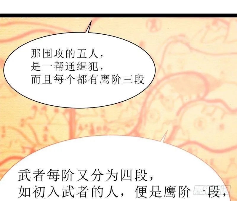 赘婿登门！ 第53页