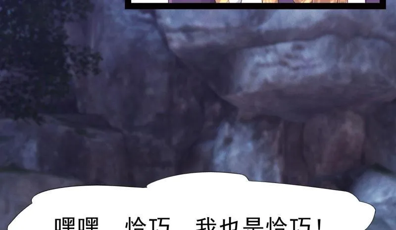 化名“冷枭天” 第11页