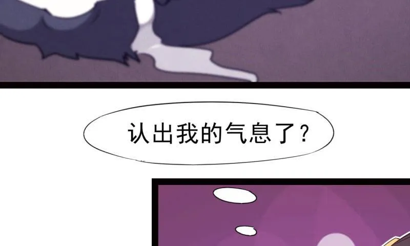 锋芒毕露 第74页