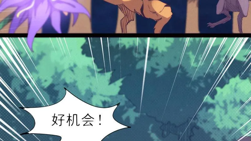 获取断崖草 第37页