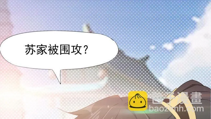 苏家姐妹的危机 第224页