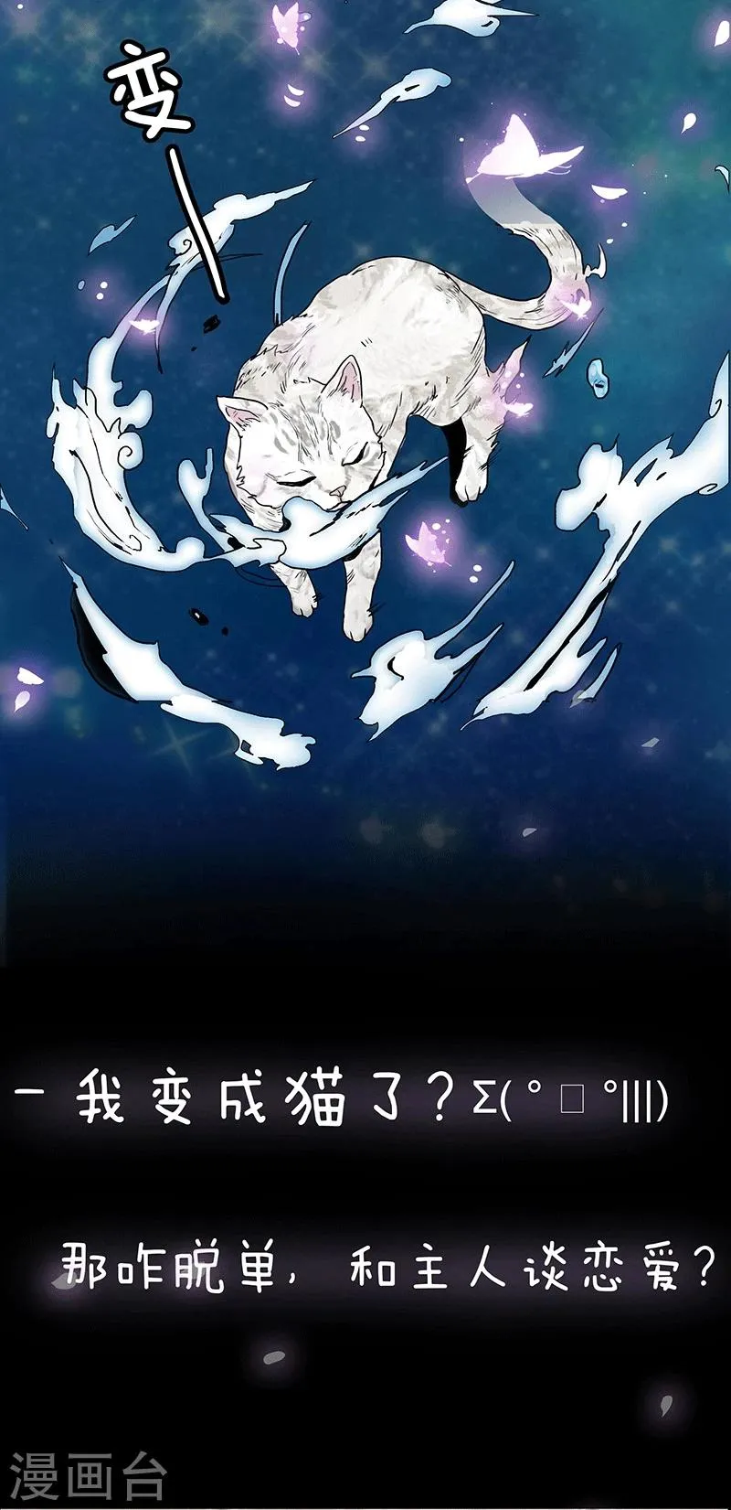 预告 第13页