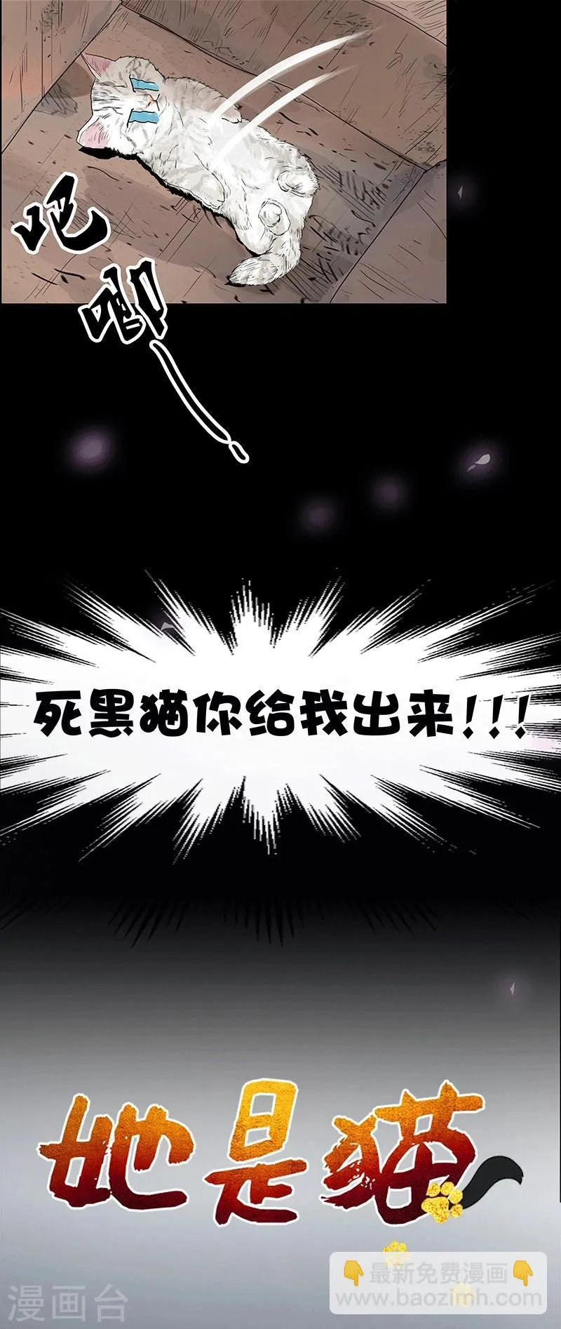 预告 第15页