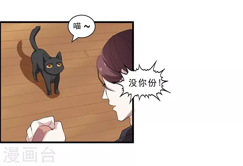 第4话 危机！不许养猫？ 第5页