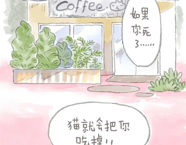 被猫鄙视智商的我 第2页