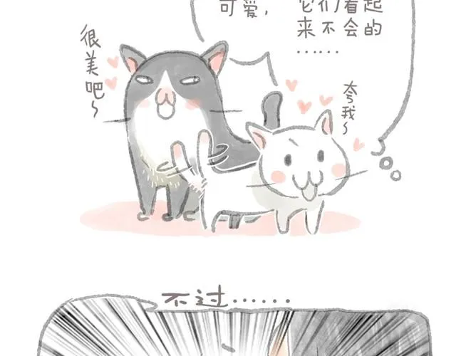 被猫鄙视智商的我 第10页