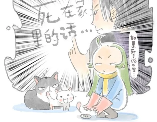 被猫鄙视智商的我 第11页