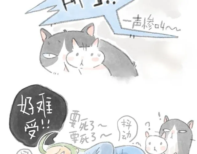 被猫鄙视智商的我 第13页