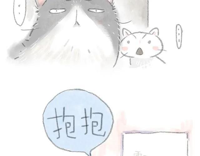 猫可以治愈一切 第21页