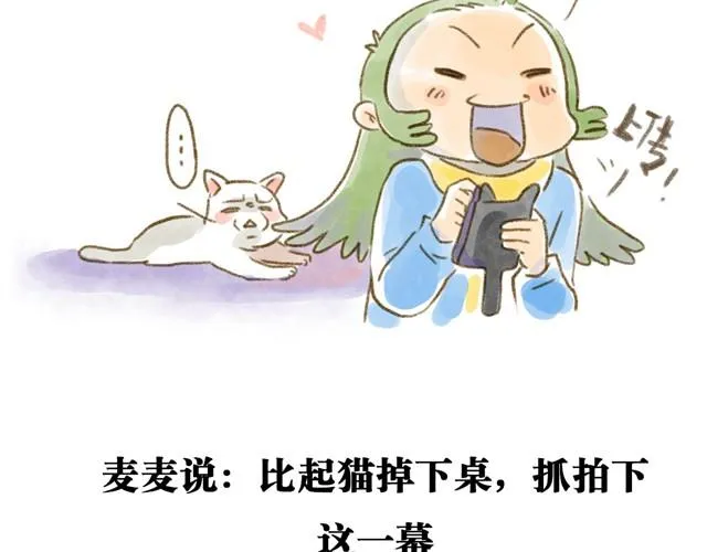 对猫来说，手机不是友好的东西 第5页