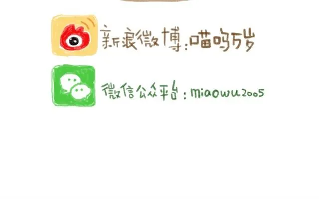 对猫来说，手机不是友好的东西 第17页