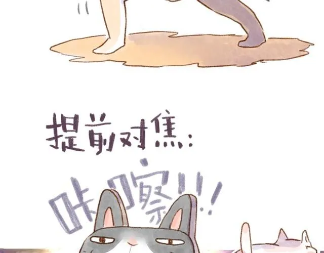 对猫来说，手机不是友好的东西 第21页