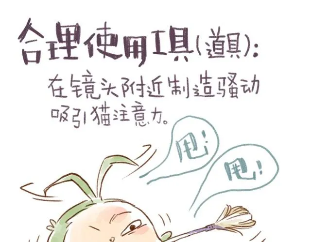 对猫来说，手机不是友好的东西 第23页