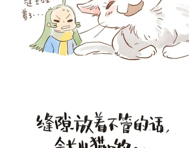 缝隙是猫的小秘密 第11页
