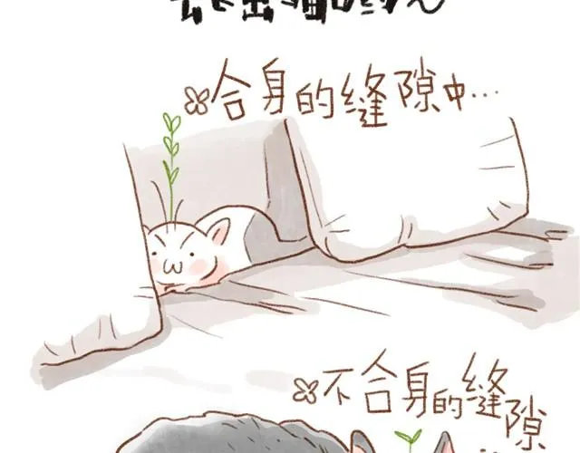 缝隙是猫的小秘密 第12页