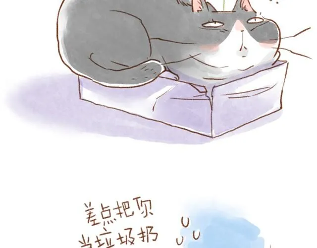 缝隙是猫的小秘密 第13页