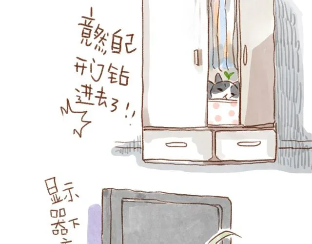 缝隙是猫的小秘密 第15页