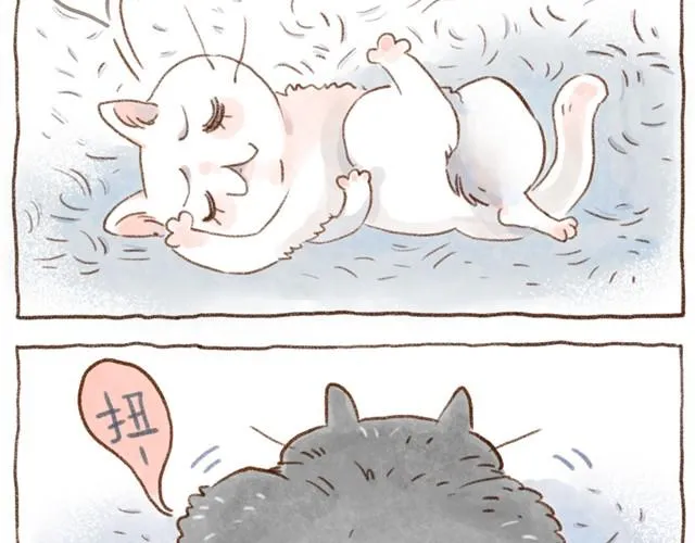 缝隙是猫的小秘密 第25页