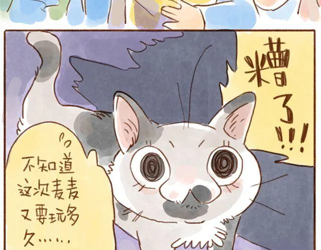 跟猫奴在一起千万要小心！ 第13页