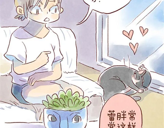 猫咪的好多行为你懂吗？ 第16页