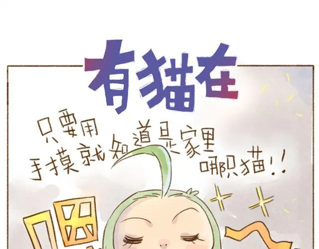 只要用手摸就能知道是家里哪只猫 第1页