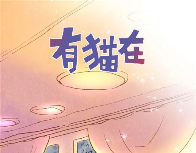 养猫或许能让你成为社交达人 第1页
