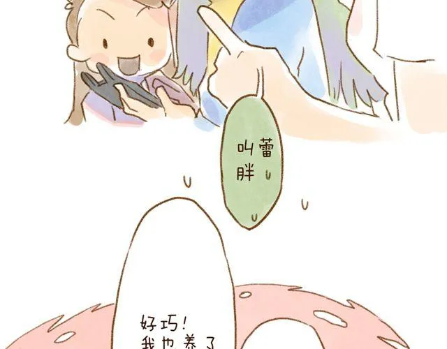 养猫或许能让你成为社交达人 第10页