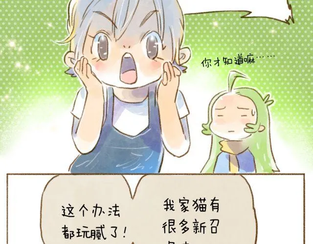 召唤猫的方法 第3页