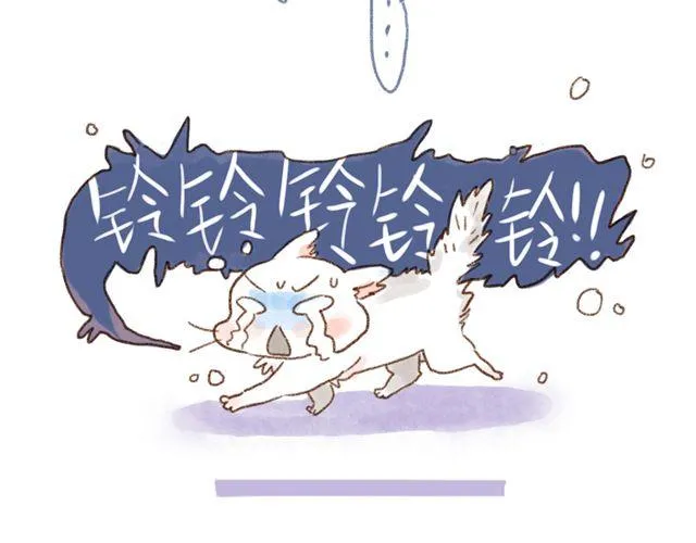 怂猫超有用！ 第16页