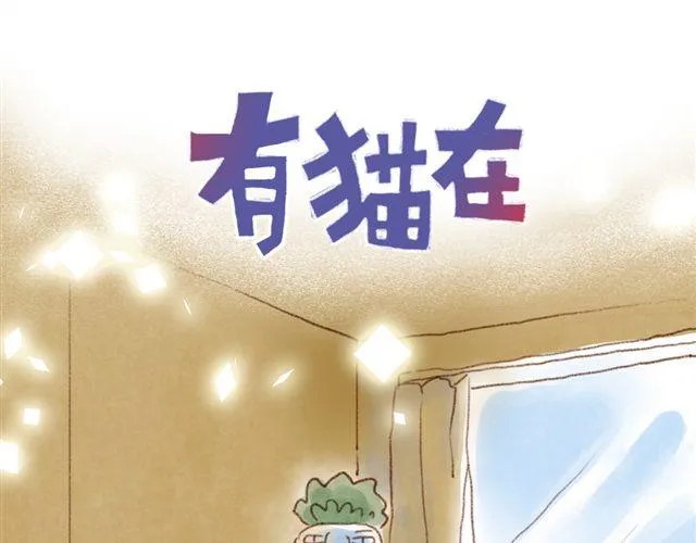 同样都是猫，为什么差别这么大 第1页