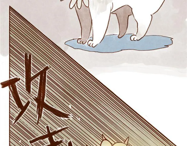 同样都是猫，为什么差别这么大 第3页