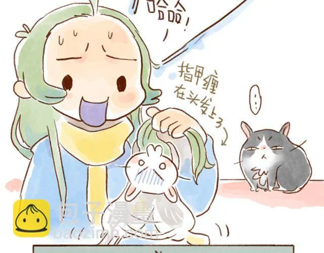 同样都是猫，为什么差别这么大 第8页