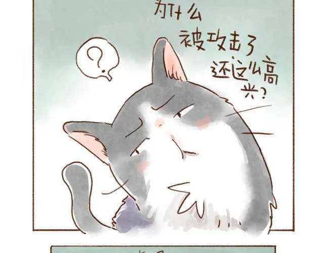 同样都是猫，为什么差别这么大 第9页