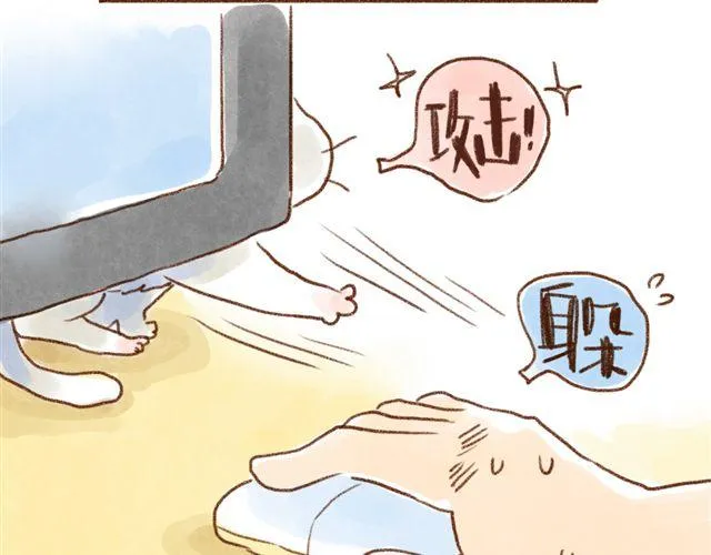 同样都是猫，为什么差别这么大 第13页