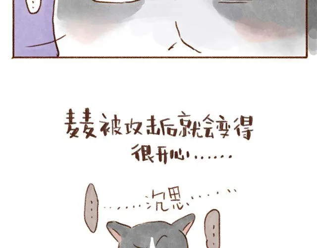 同样都是猫，为什么差别这么大 第17页